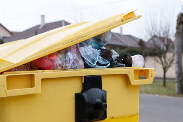 Best Demolition Debris Removal  in Windsor, NC
